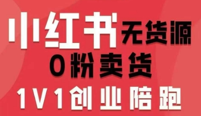 小红书无货源0粉电商课，开店准备、选品策略、笔记撰写、视频剪辑、数据分析、账号打造、资料文档(更新)-副业网