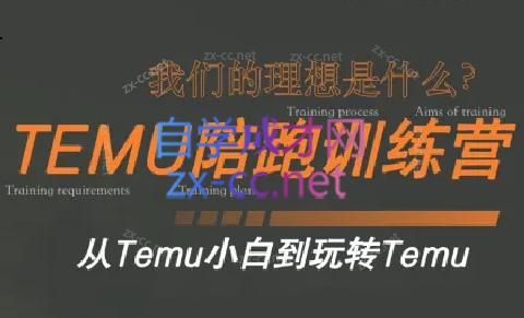 苗苗·拼多多跨境（temu）课程-副业网