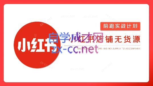 安琪·小红书店铺无货源-副业网