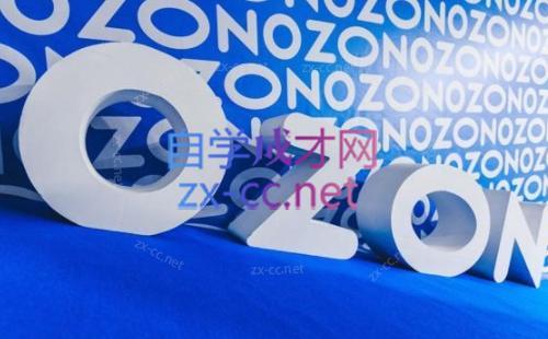 森哥·出海俄罗斯电商实操(2024)-副业网