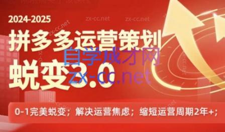 大力老师·2024拼多多运营策略蜕变3.0-副业网