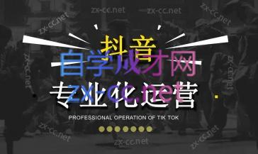 2024焦点抖音运营-副业网