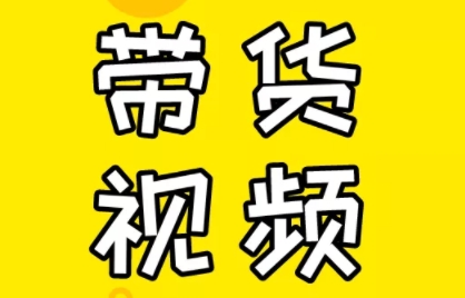 芒果老师·教你做抖音短视频和直播带货-副业网