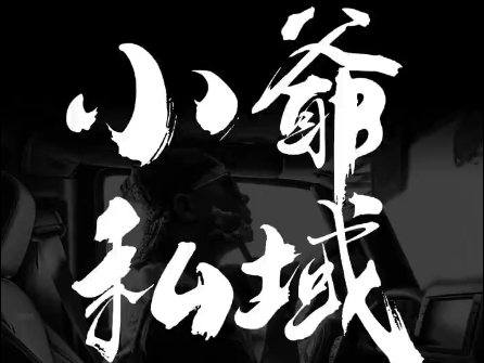 小爷·私域项目操盘手-副业网