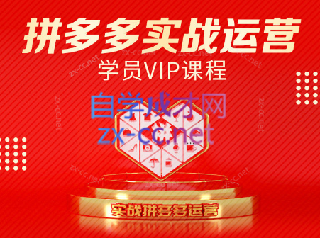 推易电商·拼多多实战运营课(更新2025月)-副业网