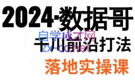 数据哥·2024年千川前沿打法落地实操课-副业网