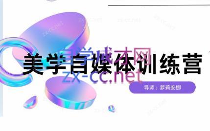 安娜·美学自媒体IP系统课-副业网