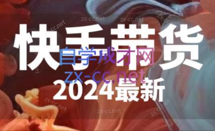 快手带货(2024最新)-副业网
