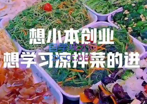 李记·精品凉拌菜系列热卤系列教程-副业网