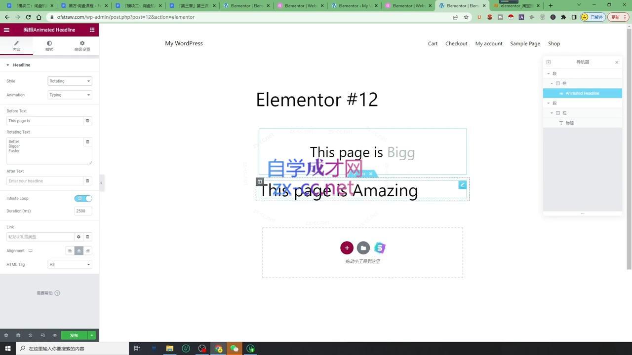 图片[2]-黑方老师·谷歌B端独立站建站推广-副业网