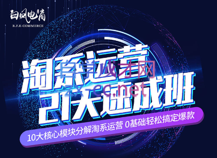 淘系运营21天速成班(更新24年6月)-副业网