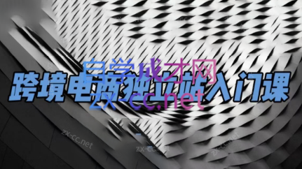 团长·跨境电商独立站入门课(2小时精华)-副业网