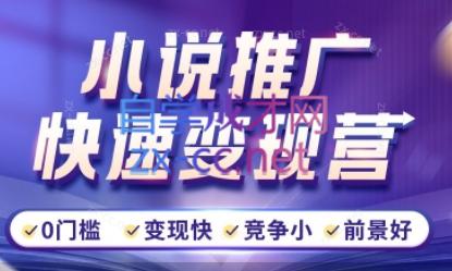 洲洲老师·小说推广快速变现营-副业网