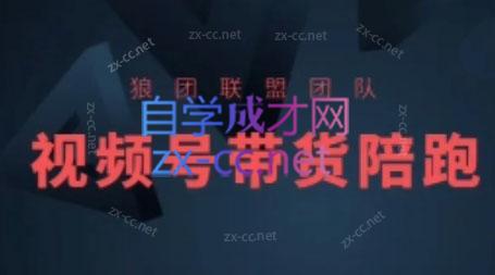 狼团联盟·2024视频号带货-副业网