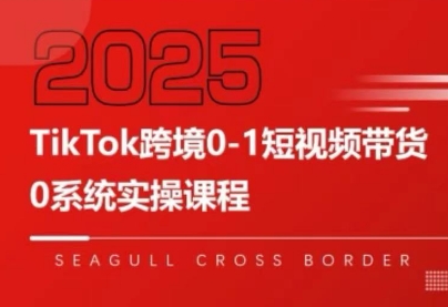 大亿老师·TikTok跨境0-1短视频带货-副业网