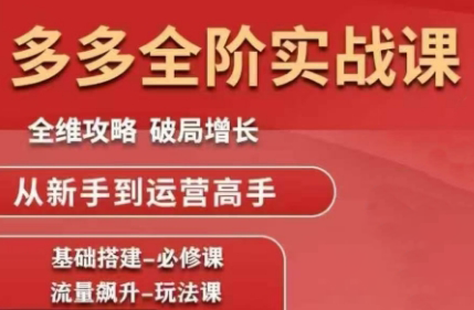 大炮·拼多多全阶实战课程(更新2026)-副业网