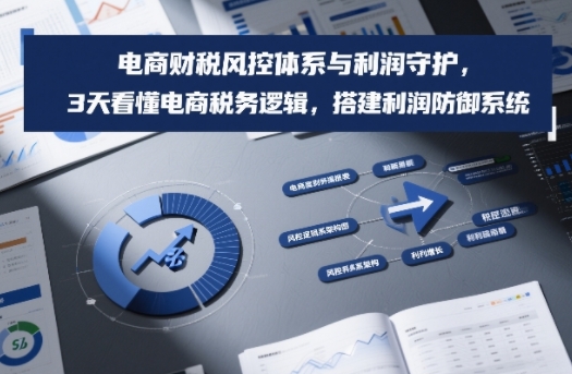 电商财税风控体系与利润守护，3天看懂电商税务逻辑，搭建利润防御系统-副业网