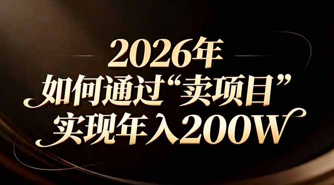 站在2026年的十字路口：一个普通人如何通过卖项目实现年入200万-副业网