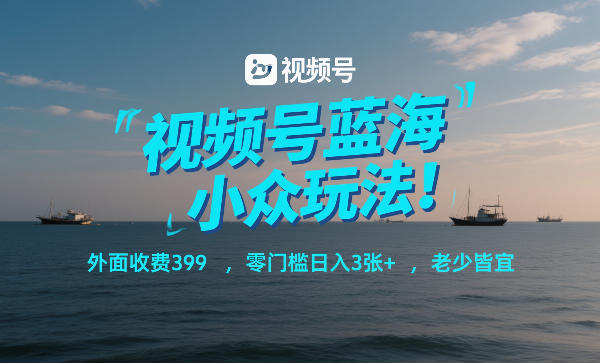 视频号蓝海小众玩法！外面收费399，零门槛日入3张+，老少皆宜-副业网