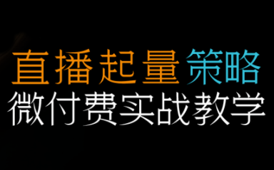 半野老师·直播带货起量与微付费必学课视频号(更新2026)-副业网