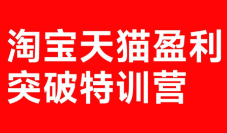 玺承·淘宝天猫盈利突破特训营(25年12月线下课)【音频+字幕】-副业网
