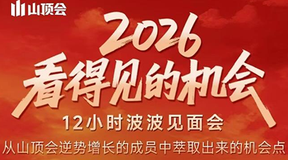 波波·2026看得见的机会12小时波波见面会(东莞线下课2月1日)-副业网