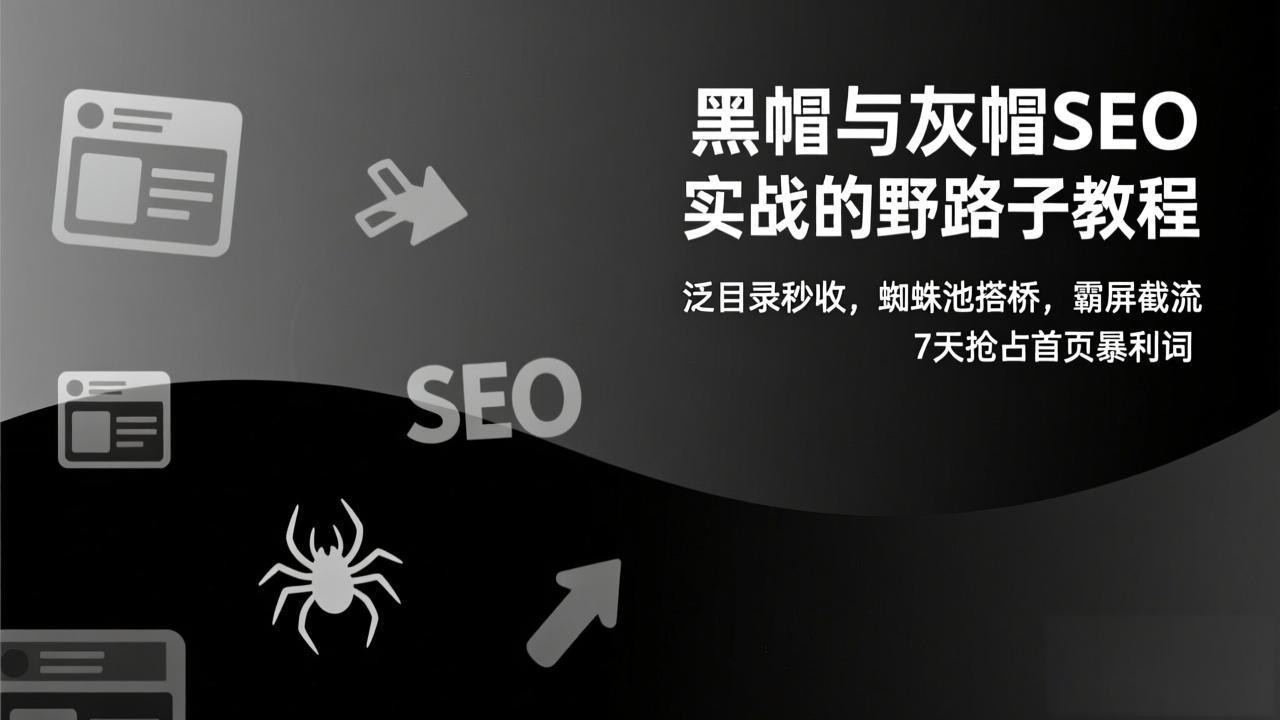黑帽与灰帽SEO实战的野路子教程：泛目录秒收，蜘蛛池搭桥，霸屏截流，7天抢占首页暴利词-副业网
