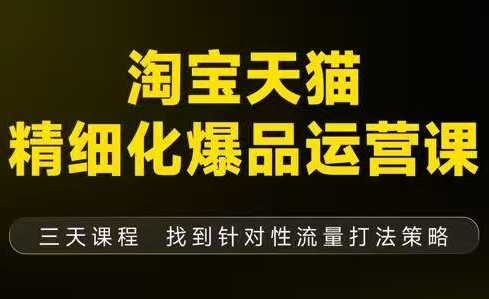 猫课子幽·淘宝天猫精细化爆品运营【音频+字幕+文档】(9月12-14杭州线下课)-副业网