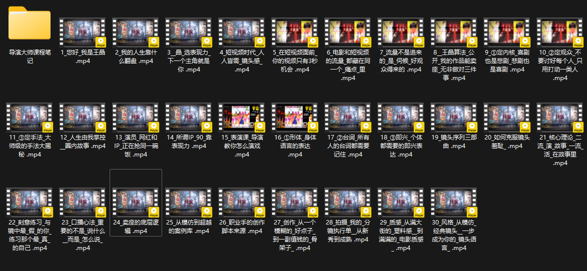 王晶大师课：流量破局-人生由我掌控-副业网