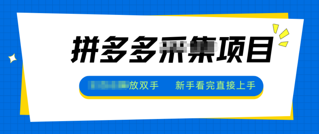 拼多多电商采集，一小时50+，操作简单，零投资-副业网