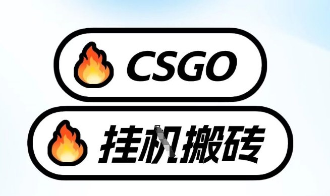 真全网独家CSGO挂G，最新玩法,单日捡漏1K+，不用电脑，不用打游戏【揭秘】-副业网